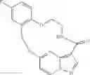 Fig. 181 - DIARYL MACROCYCLES AS MODULATORS OF PROTEIN KINASES