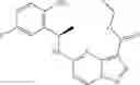 Fig. 206 - DIARYL MACROCYCLES AS MODULATORS OF PROTEIN KINASES