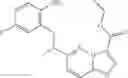 Fig. 218 - DIARYL MACROCYCLES AS MODULATORS OF PROTEIN KINASES