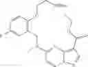 Fig. 224 - DIARYL MACROCYCLES AS MODULATORS OF PROTEIN KINASES