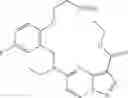 Fig. 225 - DIARYL MACROCYCLES AS MODULATORS OF PROTEIN KINASES