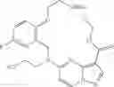 Fig. 228 - DIARYL MACROCYCLES AS MODULATORS OF PROTEIN KINASES