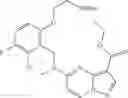 Fig. 229 - DIARYL MACROCYCLES AS MODULATORS OF PROTEIN KINASES