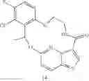 Fig. 242 - DIARYL MACROCYCLES AS MODULATORS OF PROTEIN KINASES