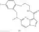 Fig. 250 - DIARYL MACROCYCLES AS MODULATORS OF PROTEIN KINASES