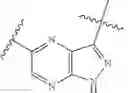 Fig. 29 - DIARYL MACROCYCLES AS MODULATORS OF PROTEIN KINASES