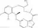 Fig. 60 - DIARYL MACROCYCLES AS MODULATORS OF PROTEIN KINASES