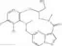 Fig. 61 - DIARYL MACROCYCLES AS MODULATORS OF PROTEIN KINASES