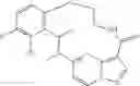 Fig. 86 - DIARYL MACROCYCLES AS MODULATORS OF PROTEIN KINASES