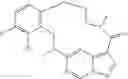 Fig. 87 - DIARYL MACROCYCLES AS MODULATORS OF PROTEIN KINASES