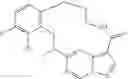 Fig. 88 - DIARYL MACROCYCLES AS MODULATORS OF PROTEIN KINASES