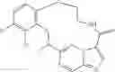 Fig. 92 - DIARYL MACROCYCLES AS MODULATORS OF PROTEIN KINASES