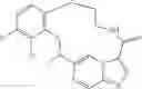 Fig. 93 - DIARYL MACROCYCLES AS MODULATORS OF PROTEIN KINASES