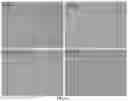 Fig. 06 - Methods and materials for increasing transcription factor eb polypeptide levels