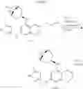 Fig. 131 - Processes for preparing a pan-JAK inhibitor and related intermediate compounds