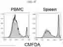 Fig. 11 - ZIRCONIUM-89 OXINE COMPLEX AS A CELL LABELING AGENT FOR POSITRON EMISSION TOMOGRAPHY