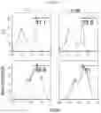 Fig. 12 - ZIRCONIUM-89 OXINE COMPLEX AS A CELL LABELING AGENT FOR POSITRON EMISSION TOMOGRAPHY