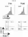 Fig. 23 - ZIRCONIUM-89 OXINE COMPLEX AS A CELL LABELING AGENT FOR POSITRON EMISSION TOMOGRAPHY