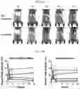 Fig. 25 - ZIRCONIUM-89 OXINE COMPLEX AS A CELL LABELING AGENT FOR POSITRON EMISSION TOMOGRAPHY
