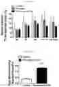Fig. 27 - ZIRCONIUM-89 OXINE COMPLEX AS A CELL LABELING AGENT FOR POSITRON EMISSION TOMOGRAPHY