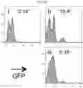 Fig. 28 - ZIRCONIUM-89 OXINE COMPLEX AS A CELL LABELING AGENT FOR POSITRON EMISSION TOMOGRAPHY