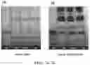 Fig. 08 - ANANDAMIDE COMPOUNDS
