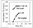 Fig. 01 - AMINO ACID COMPOSITION HAVING CO-AMORPHOUS STRUCTURE