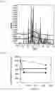 Fig. 02 - AMINO ACID COMPOSITION HAVING CO-AMORPHOUS STRUCTURE