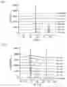 Fig. 05 - AMINO ACID COMPOSITION HAVING CO-AMORPHOUS STRUCTURE