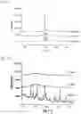 Fig. 06 - AMINO ACID COMPOSITION HAVING CO-AMORPHOUS STRUCTURE