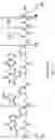 Fig. 34 - MODIFIED PEPTIDE NUCLEIC ACID COMPOSITIONS