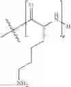 Fig. 56 - MODIFIED PEPTIDE NUCLEIC ACID COMPOSITIONS