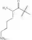Fig. 59 - MODIFIED PEPTIDE NUCLEIC ACID COMPOSITIONS