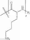 Fig. 61 - MODIFIED PEPTIDE NUCLEIC ACID COMPOSITIONS