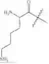 Fig. 72 - MODIFIED PEPTIDE NUCLEIC ACID COMPOSITIONS