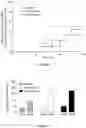 Fig. 05 - SOMATOSTATIN RECEPTOR ANTAGONIST COMPOUNDS AND METHODS OF USING THE SAME