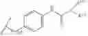 Fig. 491 - SOMATOSTATIN RECEPTOR ANTAGONIST COMPOUNDS AND METHODS OF USING THE SAME