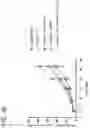 Fig. 05 - Immunomodulatory peptides