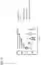 Fig. 06 - Immunomodulatory peptides