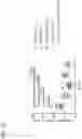 Fig. 10 - Immunomodulatory peptides