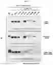 Fig. 08 - CONFORMATIONAL EPITOPE OF HEPATITIS B SURFACE ANTIGEN AND ANTIBODY BINDING SPECIFICALLY THERETO