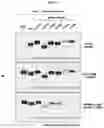 Fig. 10 - CONFORMATIONAL EPITOPE OF HEPATITIS B SURFACE ANTIGEN AND ANTIBODY BINDING SPECIFICALLY THERETO