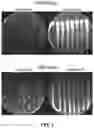 Fig. 03 - Chimeric receptor binding proteins for use in bacterial delivery vehicles