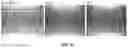 Fig. 09 - Chimeric receptor binding proteins for use in bacterial delivery vehicles