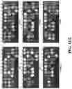 Fig. 14 - Chimeric receptor binding proteins for use in bacterial delivery vehicles
