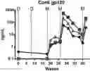 Fig. 01 - Multivalent HIV vaccine boost compositions and methods of use
