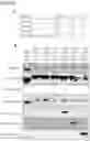 Fig. 07 - MODIFIED FACTOR H BINDING PROTEIN