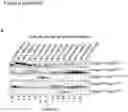 Fig. 10 - MODIFIED FACTOR H BINDING PROTEIN