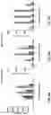 Fig. 14 - ENGINEERED LYSIN-HUMAN DEFENSIN PROTEIN