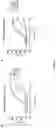 Fig. 14 - BIFUNCTIONAL MOLECULES WITH IL-7 ACTIVITY